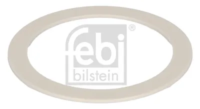 Bremse für Achsen, Radlager