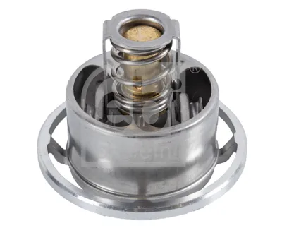 Thermostat, Kühlmittel