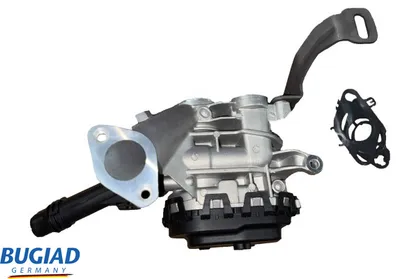 EGR BUGIAD BGR13117 Ventil