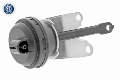 Steuerungsflap, Luftzufuhr Audi A3 · Audi A6 C6 · Audi A3 Sportback