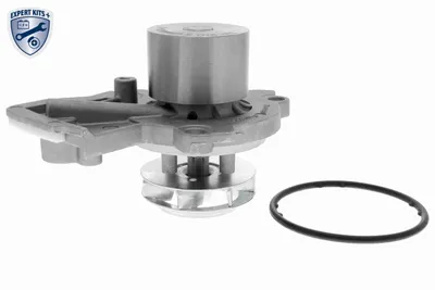 Wasserpumpe, Motorkühlung Audi A1 · Audi A1 Sportback · Seat IBIZA IV