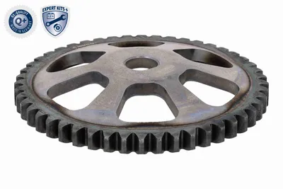Zahnrad/Gear, Ölpumpe Seat IBIZA III · Seat CORDOBA · Seat IBIZA IV