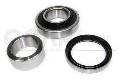 Radlagersatz OCAP 6120434