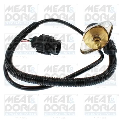 Sensor, Kraftstoffdruck Byd FLYER