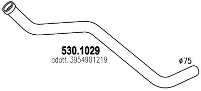 Auspuffrohr ASSO 530.1029