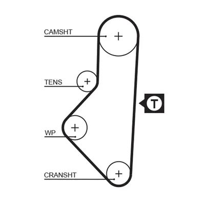 Timing Belt