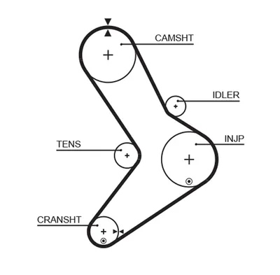 Timing Belt