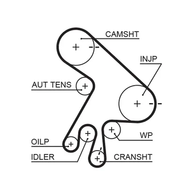 Timing Belt