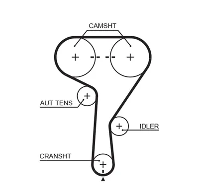 Timing Belt