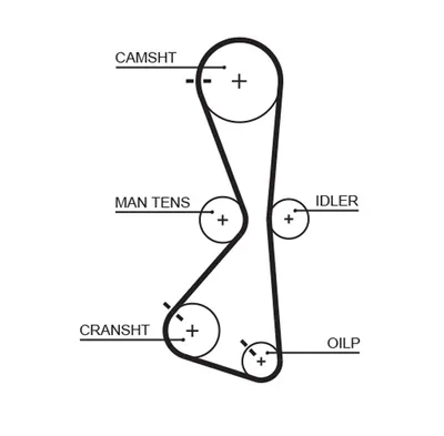 Timing Belt