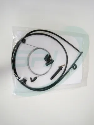 Beschleunigerkabel Renault RAPID Box Body/MPV · Renault LAGUNA I · Renault LAGUNA I Grandtour