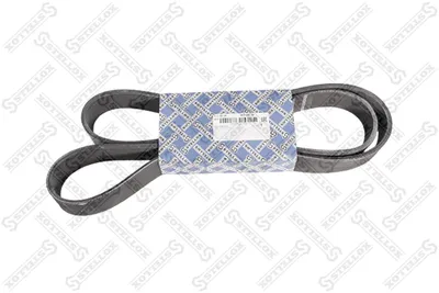 Traspecial Armband Poly V STELLOX 01-01485-SX