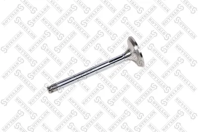 Auspuffventil Fiat REGATA · Fiat CROMA · Fiat TEMPRA