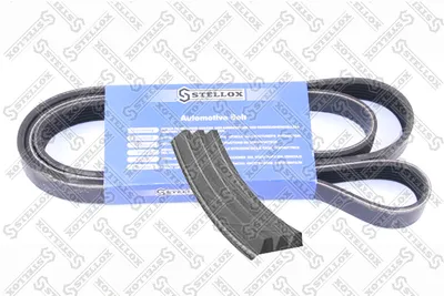 V-Ribbed Belt Fiat PUNTO · Fiat PALIO Wochenende · Fiat PUNTO Van