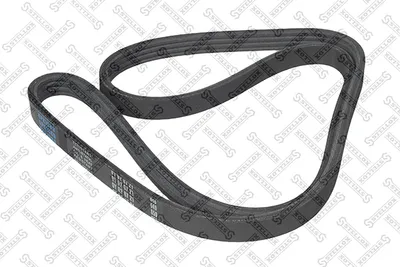 V-Ribbed Belt Audi A6 C8 Avant · Daimler XJ 40, 81 · Daimler DAIMLER XJ