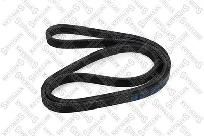 V-Ribbed Belt Honda ACCORD VI Coupe · Nissan ALMERA I Hatchback · Nissan ALMERA I