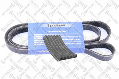 V-Ribbed Belt Ford Fiesta V · Ford Fiesta V Van · Mazda MX-5 III