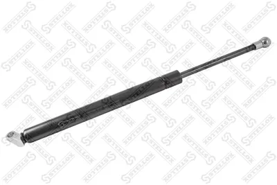Gasfeder, Boot/Cargo-Bereich Bmw 5