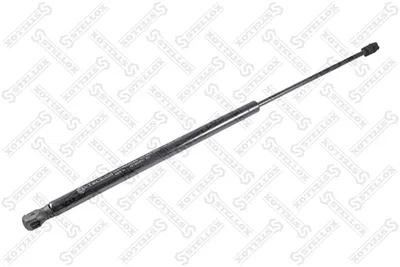 Gasfeder, Boot/Cargo-Bereich Ford S-MAX