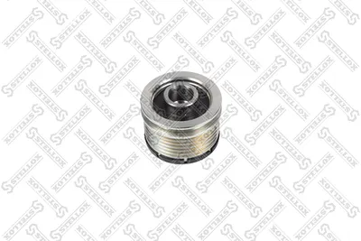Belt Pulley, Lichtmaschine Audi A6 C6 · Audi A6 C6 Avant · Mercedes-Benz CITAN Mixto