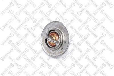 Thermostat, Kühlmittel Audi A6 C6 · Audi A6 C6 Avant · Audi A4 B8