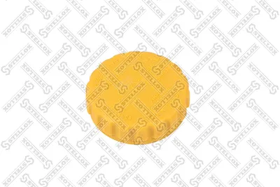 Deckel, Kühlmitteltank Ford SCORPIO I · Ford SCORPIO I Limousine · Ford SIERRA II Rückschlag