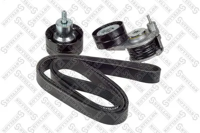 Poly V STELLOX 81-22901-SX Traspecial Belt Set