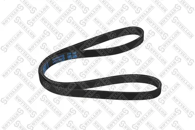 V-Ribbed Belt Audi A5 · Audi A4 B8 · Audi A4 B8 Avant