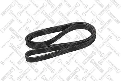 V-Ribbed Belt Honda CR-V II · Honda ACCORD VII · Honda ACCORD VII Tourer