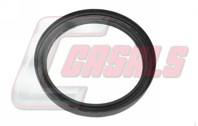 Bremse für Achsen, Radlager CASALS 20318