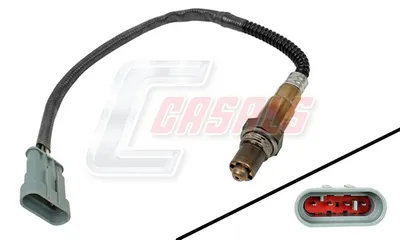 Lambda-CASALS-Sonde 65767