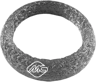 Dichtungsring, Auspuffrohr Renault CLIO I · Renault LAGUNA I · Renault 19 II Cabriolet