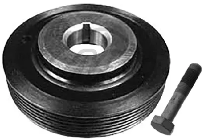 Riemenpulle Set, Kurbelwelle Citroën XANTIA · Citroën ZX · Citroën EFASION MPV