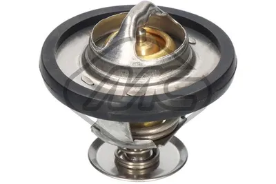 Thermostat, Kühlmittel Ford TRANSIT V363 Bus · Ford TRANSIT V363 Van · Ford TRANSIT V363 Plattform/Chassis