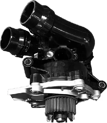 Wasserpumpe, Motorkühlung Audi A3 · Audi A3 Sportback · Audi TT