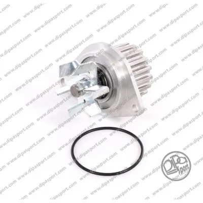 Wasserpumpe, Motorkühlung Citroën SAXO · Citroën BERLINGO / BERLINGO ERSTER Kastenkörper/MPV · Citroën BERLINGO / BERLINGO ERSTE MPV