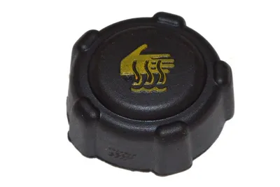 Deckel, Kühlmitteltank Lada LARGUS Kombi Van · Mercedes-Benz CITAN Mixto · Mercedes-Benz CITAN Box Body/MPV