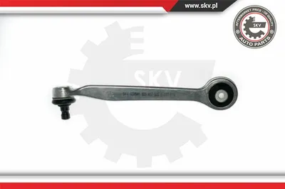 Steuer- / Tragarm, Radaufhängung Audi A4 B5 · Audi A8 D2 · Audi A6 C5