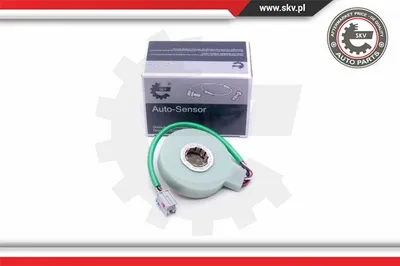 Steuerwinkelsensor Fiat PANDA · Fiat PANDA Hatchback Van · Lancia YPSILON