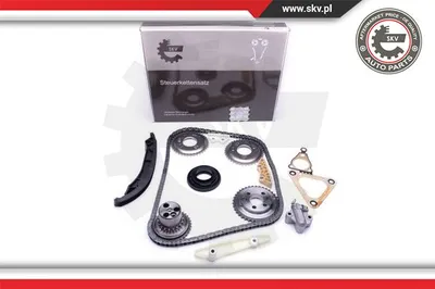 Zeitfahrgestell Ford TRANSIT Bus · Ford TRANSIT Van · Ford TRANSIT Plattform/Chassis