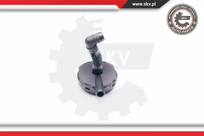 Ventil, Kurbelgehäusebelüftung Audi A6 C5 · Audi A6 C5 Avant · Audi A4 B6