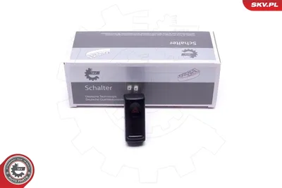 Gefahrenhinweis Lichtschalter Renault 19 II