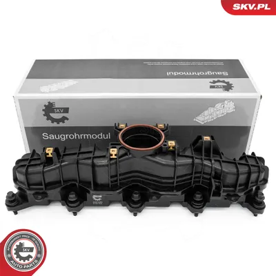 Aufnahme-Manifold-Modul Ford RANGER