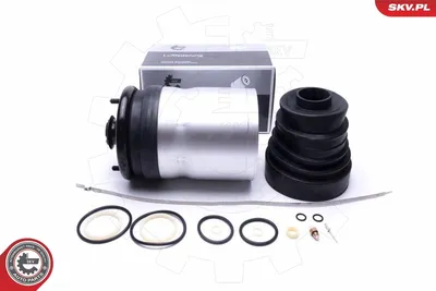 Luftfederung Strut Land Rover RANGE ROVER SPORT I
