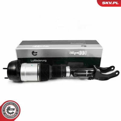 Luftfederung Strut Mercedes-Benz M-CLASS · Mercedes-Benz GL-CLASS · Mercedes-Benz GLE