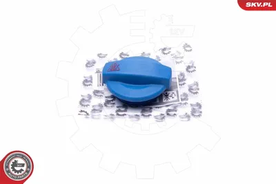 Deckel, Kühlmitteltank Audi 90 B3 · Audi A4 B5 · Audi A6 C4