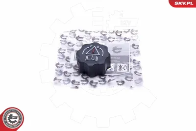 Deckel, Kühlmitteltank Citroën JUMPY I · Citroën XSARA · Citroën XSARA Break