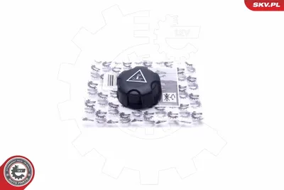 Deckel, Kühlmitteltank Citroën SAXO · Citroën JUMPY I · Citroën BERLINGO / BERLINGO ERSTE Box Körper/MPV