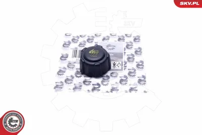 Deckel, Kühlmitteltank Citroën XSARA · Citroën XSARA Break · Citroën C5 I