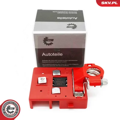 Batterieadapter Renault MEGANE II · Renault SCÉNIC II